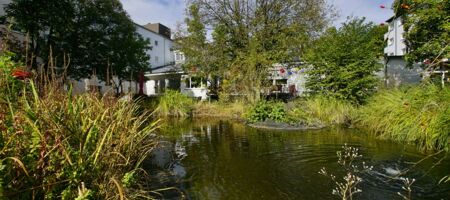 Gartenteich Naturnahe Gartenanlage Wasser im Garten Pflegeheim Garten Teichlandschaft Ruheoase im Grünen Wassergarten Natürliche Gartengestaltung Teich im Pflegeheim Entspannung am Teich